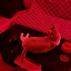 AUTOmation w/ Not_Found & LSP