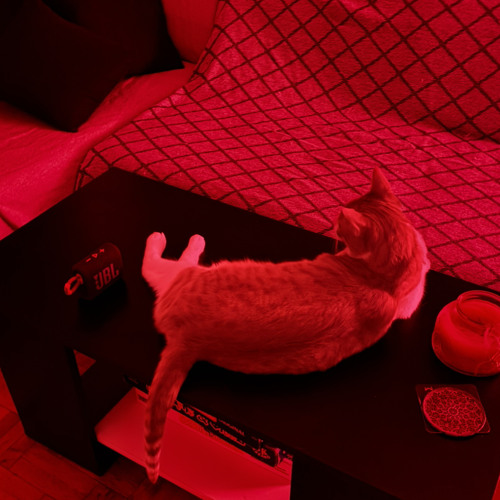 AUTOmation w/ Not_Found & LSP