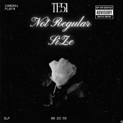 Not Regular SiZe Te 51