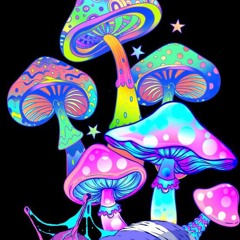 DD IS BACK unreleased (DD OSAMA)