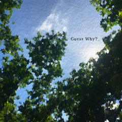 Guess Why? (Stems)