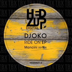 Premiere: DJOKO - Wrecked [hedZup records]