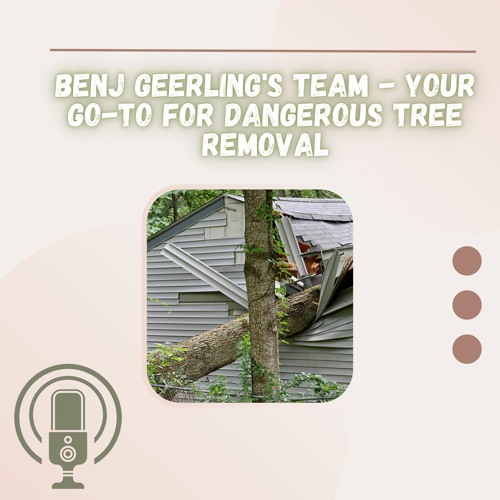 Benj Geerling's Team - Your Go - To For Dangerous Tree Removal