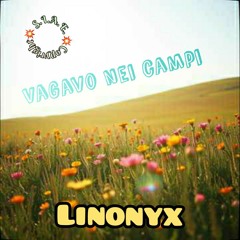 Vagavo nei campi.mp3