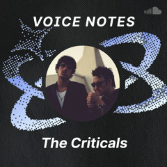 Voice Notes: The Criticals on "Adoringly Drunk"