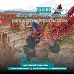 FOCIPP financia el 100% de los proyectos para sustituir importaciones