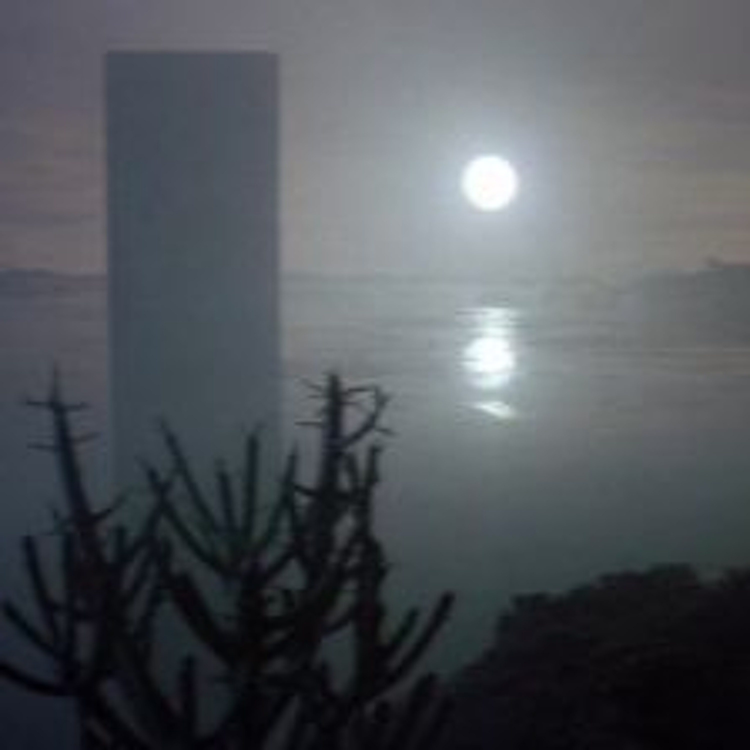 Geeking with Destination Venus