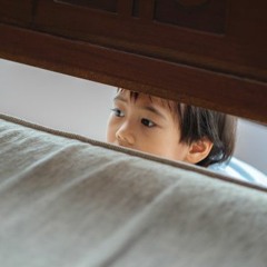 Evangelio del Domingo XII del Tiempo Ordinario