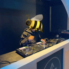 HAISCORE'S BDAY PARTY SET