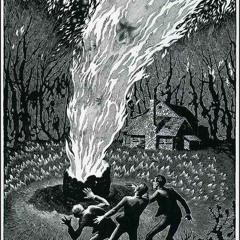 ROMFARTUNA KAKADUA, PERUVIAN BREW ENCHANTED BOSSA.