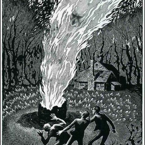 ROMFARTUNA KAKADUA, PERUVIAN BREW ENCHANTED BOSSA.