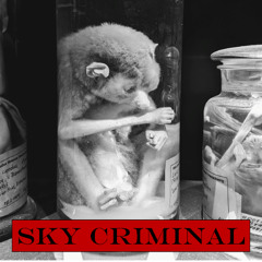 Sky Criminal
