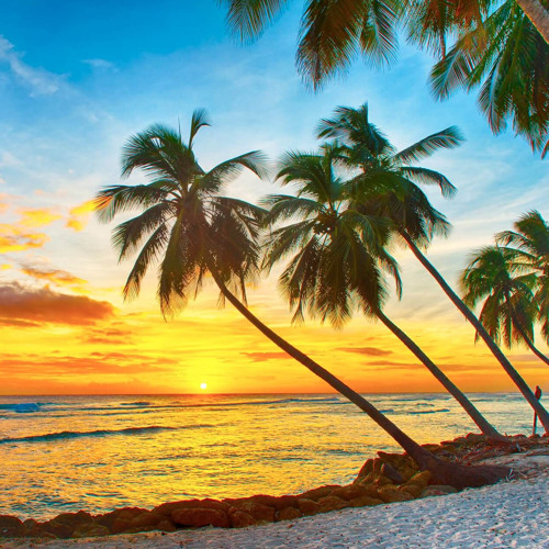 Better Off Last (Sol Remix)