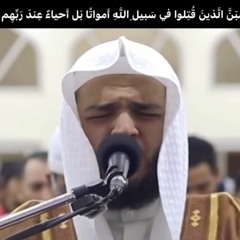 ولا تحسبن الذين قتلوا فى سبيل الله امواتا بل احياء تلاوة رائعة و خاشعة للشيخ محمد عبادة اسمع بقلبك🌹