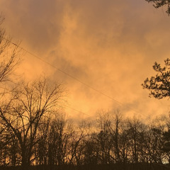 predestined freestyle