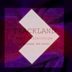 Signals vol. 47 Ali Berger [ Trackland | Ghostly ]