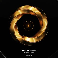 Wrigley X Truu - In The Dark (Cover Of Purple Disco Machine)