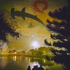 World is yours (Geam)