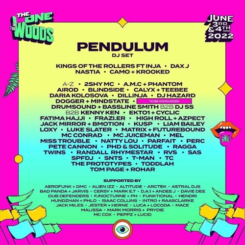 The One In The Woods DJ Comp - Hooligan DNB Mix Jan 2022