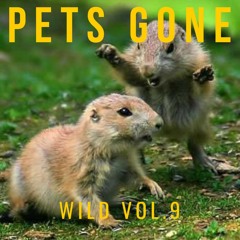Pets Gone Wild Vol.9
