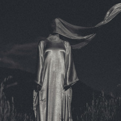 PIONEER Ancestral Innovation Archetype