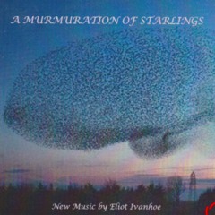 A MURMURATION OF STARLINGS