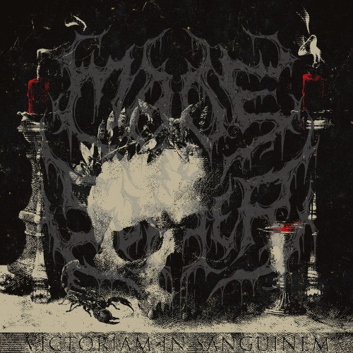 MISERY LIES IN THE SHADOWS