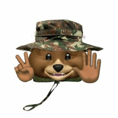 OS BICO TAO SE PERGUNTANDO • MC PH  ( AB DA PALMEIRINHA' DJ GR DA SERRA )