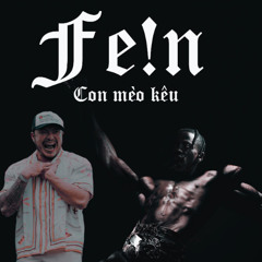 CON MÈO KÊU FE!N