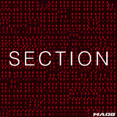 LYNY - SECTION (MADB dnb FLIP)