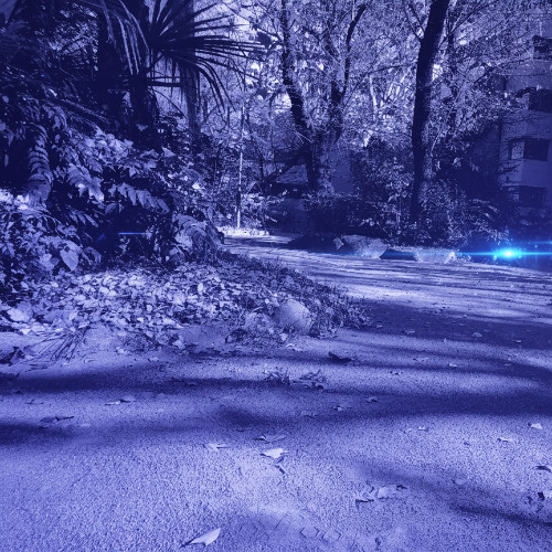 明日まで生きてみようかな