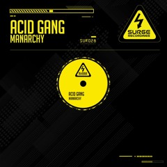SUR028 Manarchy Acid Gang