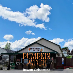 Pumpkin Patch