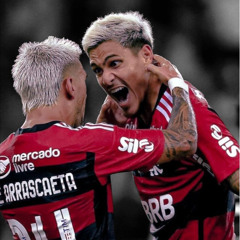 MENGÃO CAMPEÃO ( DJ VINICIUS DE MACABU & MC FAAT )