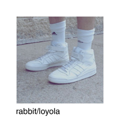 rabbit