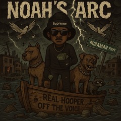 Noah’s Arc