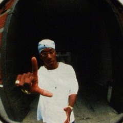 nas dnb