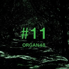 ORGAN48 #11