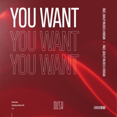 Jínzz, Ashley Milred & Viddsan - You Want