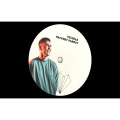 Sammy Virji - Hackney Pigeon (Highest Quality)