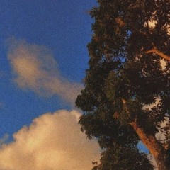 Anh đã ổn hơn nhưng suy vl