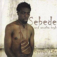 Chipohwiro (Remix) [feat. Oliver Mtukudzi)