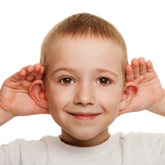 human audio spectrum