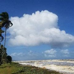 Review Special Price Trinidad Island Circle Tour With Pickup