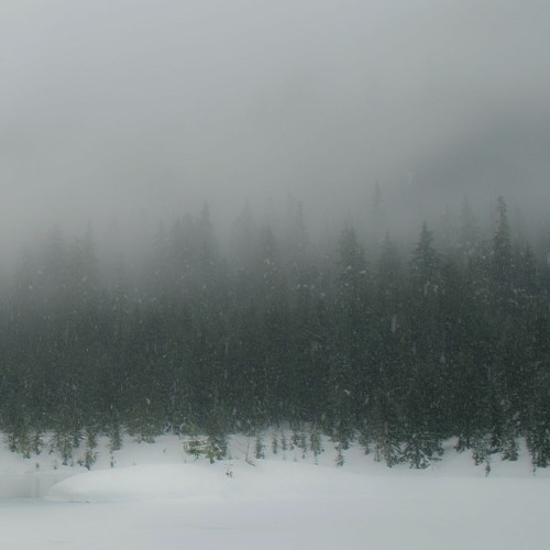 Zion. T - 눈 (Feat. 이문세) | Loè&Jinyoo