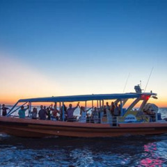 Best Darwin Sunset Cruise Including Fish N Chips Tours Review