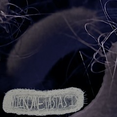 INTRODUCTION TO BIOLOGY THEY DON'T TEACH IN SCHOOL