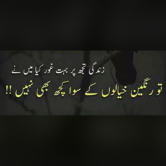 Tujhe Yaad Kar Liya Hai ## Aayat ##Bajirao Mastani ## i.mp3 (unofficial)