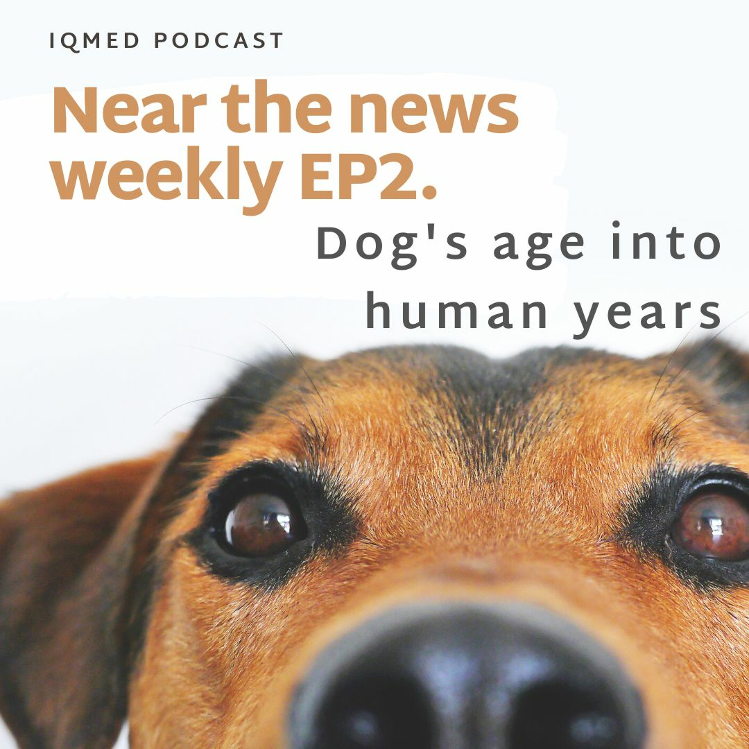 IQMED PODCAST