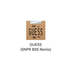 GUESS - (SNPR BSS Remix)